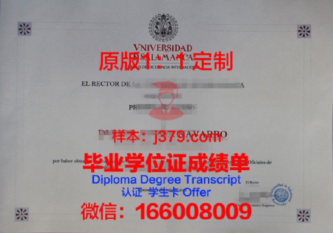 费撒巴拉政府大学学院毕业证样式(费萨拉巴德政府学院)