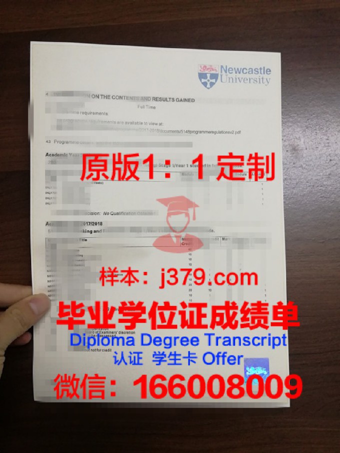 金迪奥大学成绩单