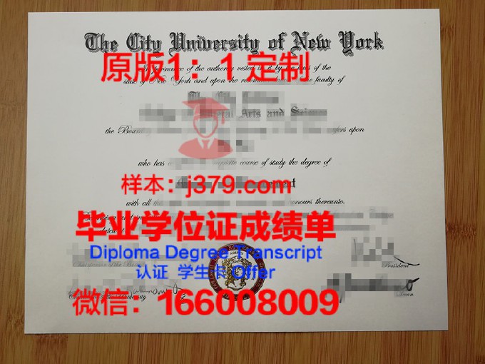 城市应用科学大学研究生毕业证(应用城市科学与信息学硕士)