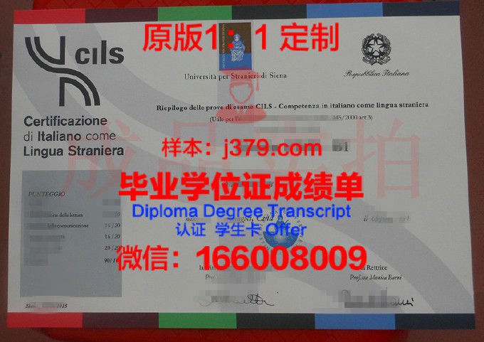 意大利锡耶纳外国人大学diploma证书(意大利锡耶纳外国人大学排名)