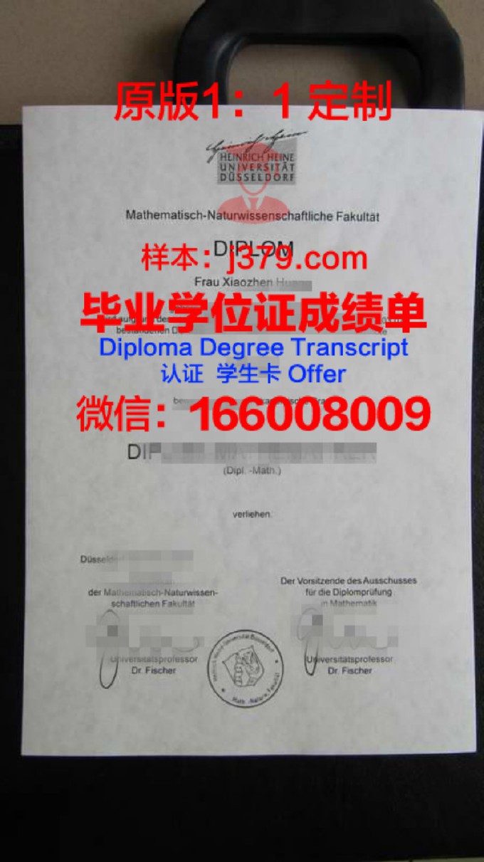 杜塞尔多夫应用技术大学毕业证封面(杜塞尔多夫学院派)