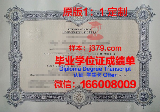 比萨大学本科毕业证(比萨大学相当于中国的什么大学)