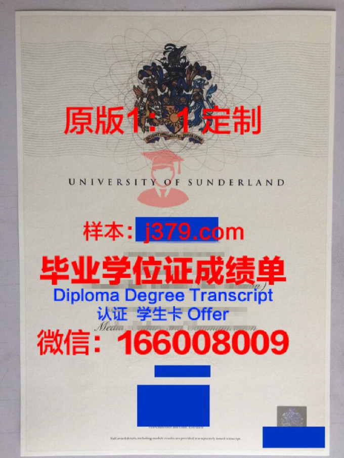 也拉伊斯兰大学学位证书(伊拉斯姆斯大学学费)