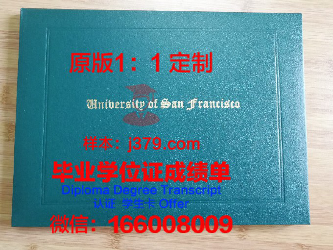 卡波什瓦大学毕业证壳子