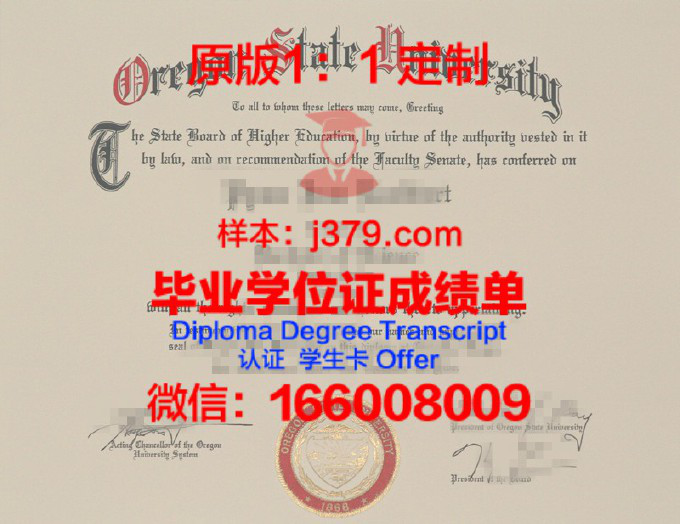 棉兰老州立大学伊利甘理工学院diploma证书(伊利诺伊州立大学证书)