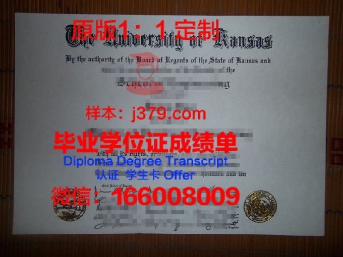 达拉那大学学院diploma证书(达拉斯大学排名)