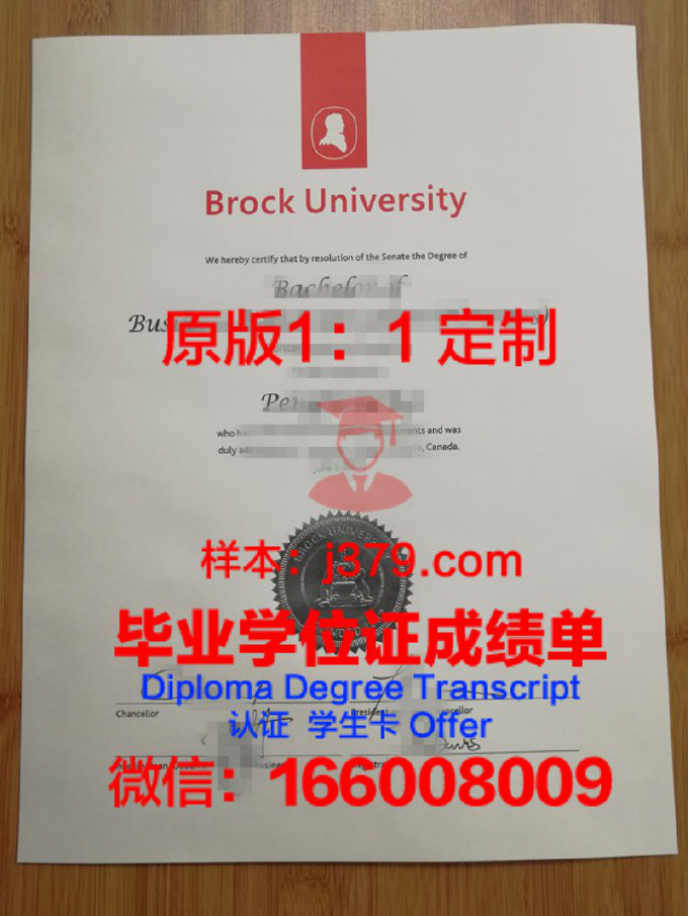 布鲁克大学博士毕业证：一张纸的重量与价值