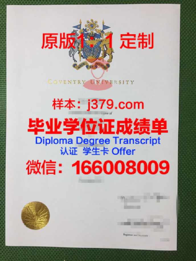 体育大学录取通知书 OFFER 定制：开启人生新篇章