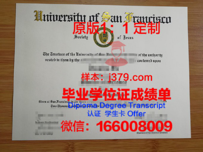 Master of Study：解锁高效学习的秘密