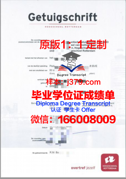 波尔多高等商学院diploma证书(波尔多大学申请条件)