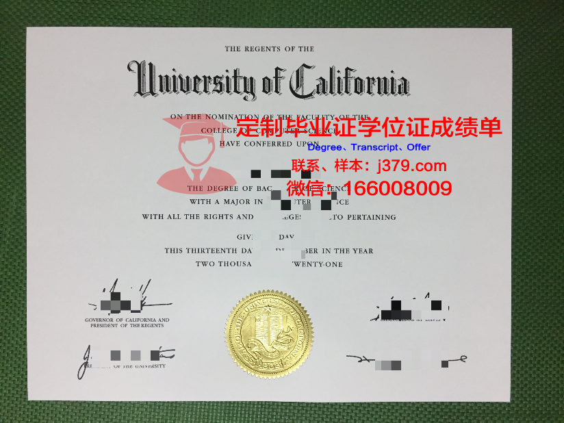 瓦萨大学 diploma 毕业证