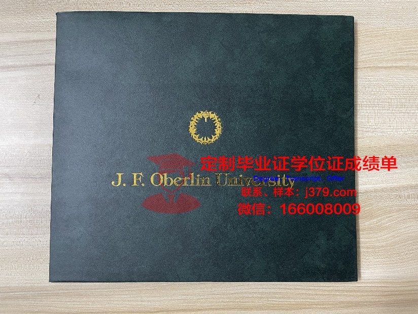 没毕业证怎么办日本签证(日本毕业没有毕业证但有学位证)