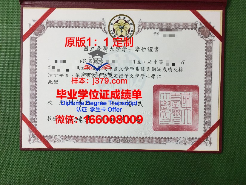 符拉迪沃斯托克国立经济与服务大学博士毕业证书:跨足国际精英的通行证
