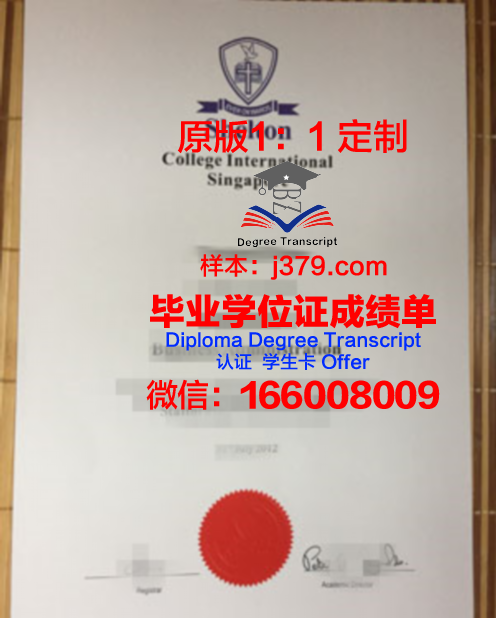 波尔多高等商学院diploma证书(波尔多大学申请条件)
